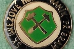 Banik-Pribram-40-Years