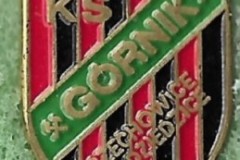 Górnik-Czechowice-Dziedzice