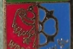 GKS-Wodzislaw-Slaski-1