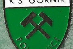 Gornik-Polokowice-1