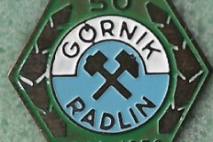 Gornik-Radlin-50-Years-4