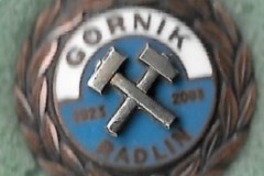 Gornik-Radlin-65-Years-6