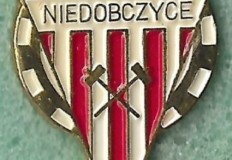 MKS-Niedobczyce-1