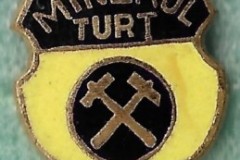 Minerul-Turt