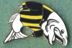 Great Yarmouth Town Supporters Club