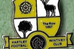 Hartley-Wintney-F.C.