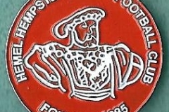 Hemel Hempstead Town