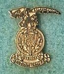 Inverness Caledonian Thistle 5