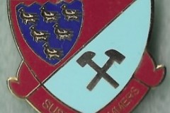 Sussex-Hammers-